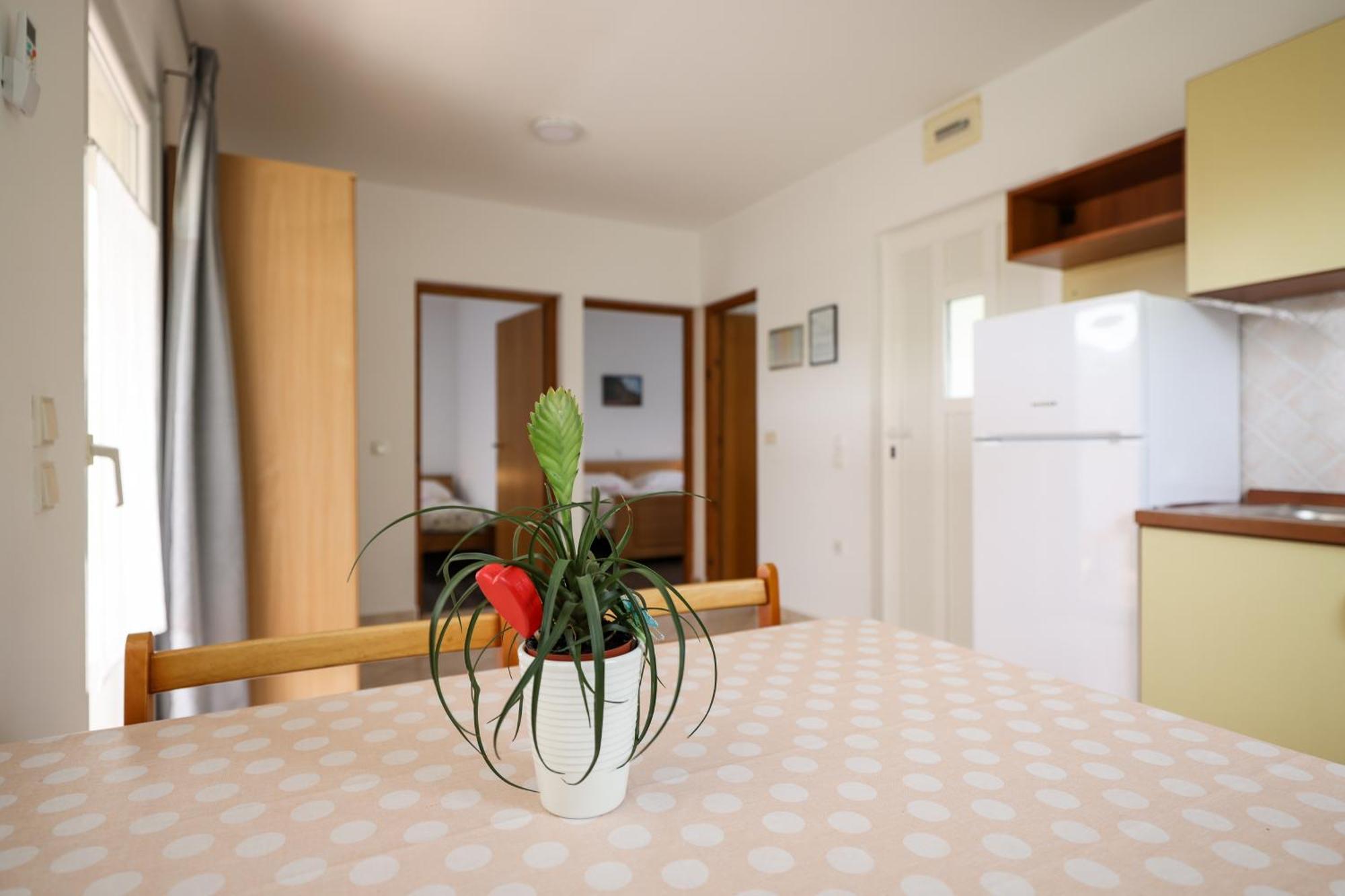 Apartments Kika ニン エクステリア 写真